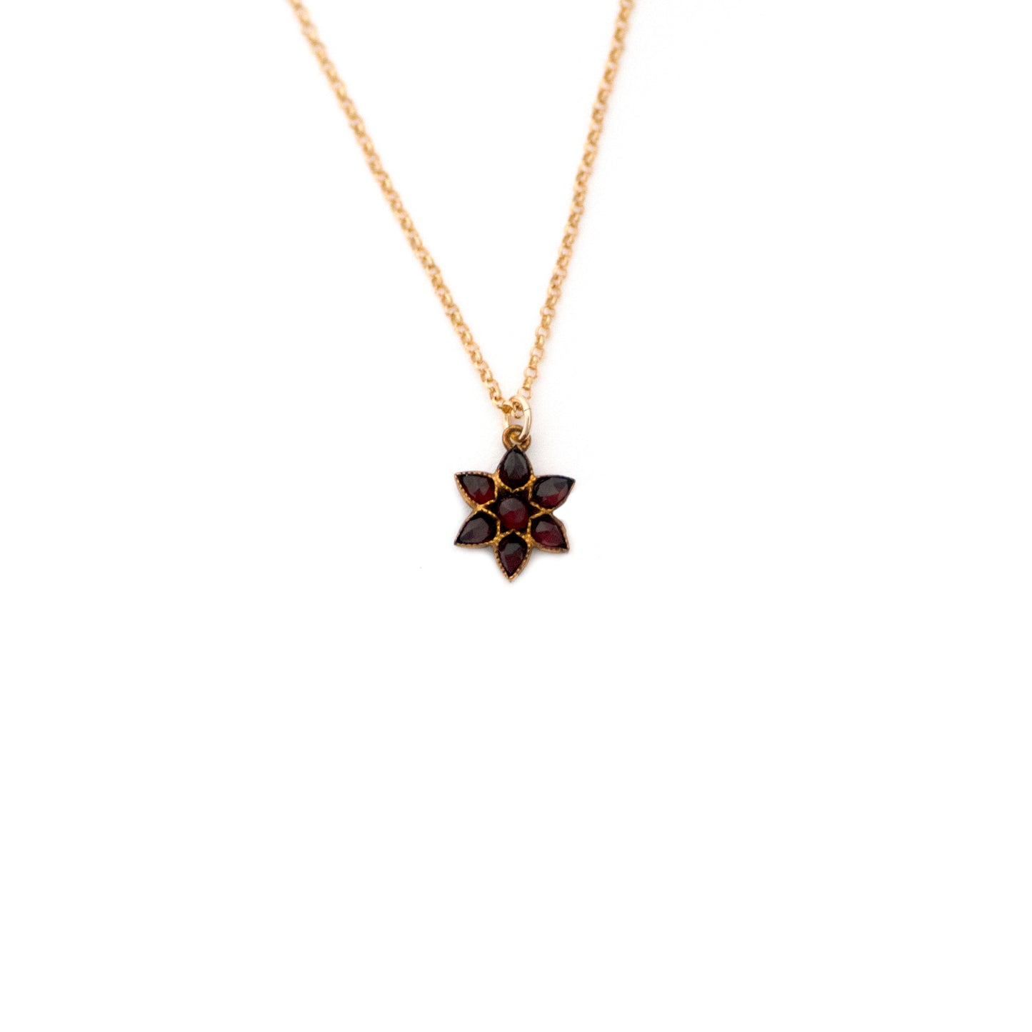 Star Bohemian Garnet Necklace