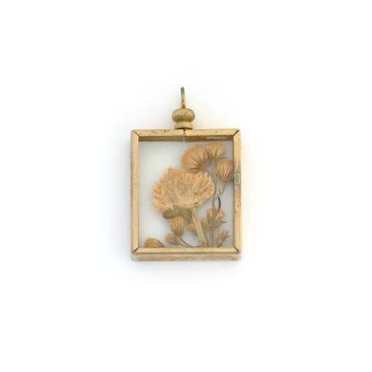 Vintage Pressed Clover Flowers Pendant